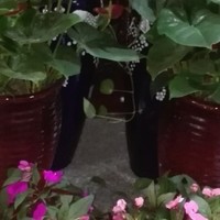 董运芳
