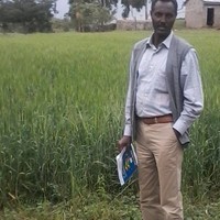 Zeray Gebre