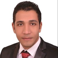 Ahmed Raafat (PMI-PMP)