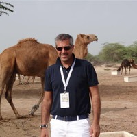 Daniel Anastasía Correa