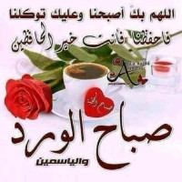 احمد الوادعي