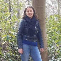 Heleen Mesu