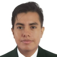 Pedro Alexander Almanza Chara