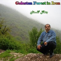 N Naser