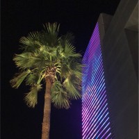 سلطان الدوسري