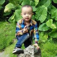 刘琼艳