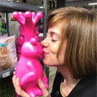 Sara Kuipers