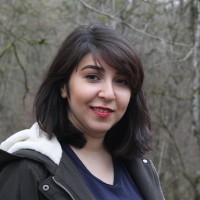 Sahar H.