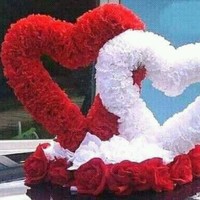 Saiful Islam