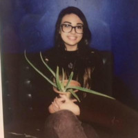 Ally Chorun