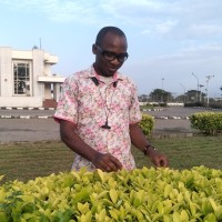 Ogunfolaji Dare