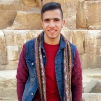 Ahmed Shehata