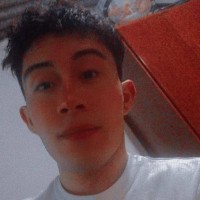 Ariel Mendoza