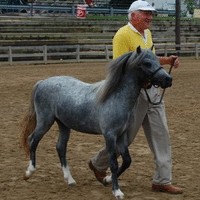 Michael Elliott, PMP