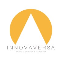 Grupo Innovaversa .