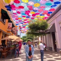 David Bejar