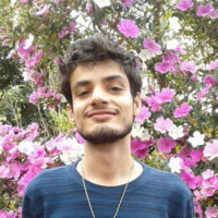 Lucas Henrique Brizzi