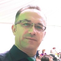 Ionel Negulescu