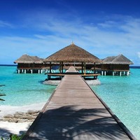 Dividenddreamer Aka--- Seeking Dividends