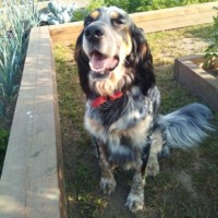 BRUNO M.