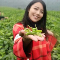 张智富