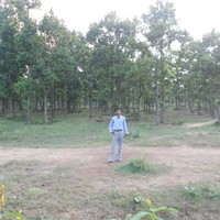 biplab sarkar