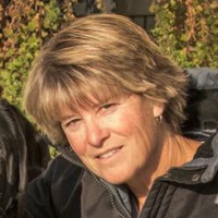 Anne Maynard