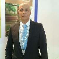 Hany G. Hassan