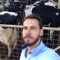 Dênis Corrêa