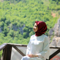 Hafsa Demi̇rer