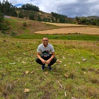 José Luis Moya Liza