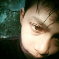 Gunasti D_And_A
