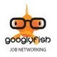 Googlyfish Ireland