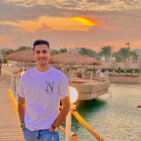 Ahmed Abd-Elhamied
