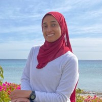 Abeer Soliman