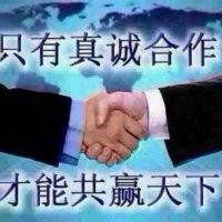 何玉政
