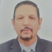 Samir Salama Emara Rabee