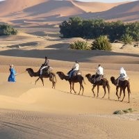 Mesmerising Morocco Travels