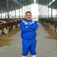 amir ahmadian