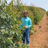 Maicon Alves Francisco