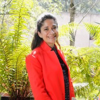 Hilda A. Castillo Castrejon