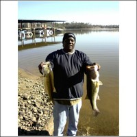 Dink Williams