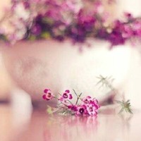 蒋芳连