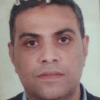 wael anwar