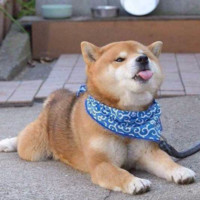 梁胜祖