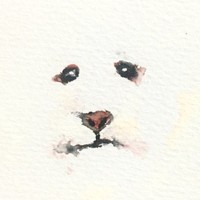 张可鑫