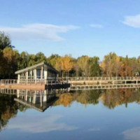 Hui Shen