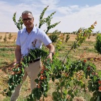 Samir Azzouz