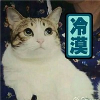 李鹏飞