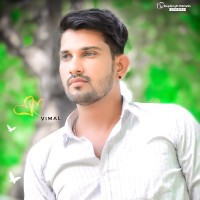 Vimal Meena